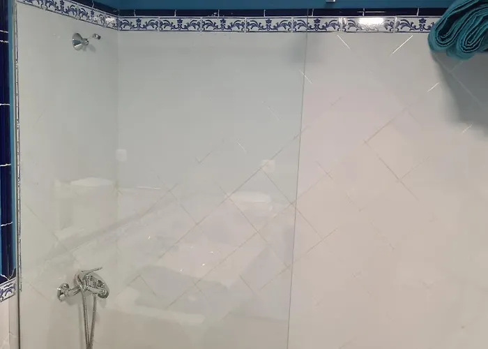 Oasis Royal D311 コラレホ